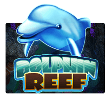 Dolphin Reef Slotxo UFABET
