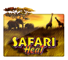 Safari Heat Slotxo UFABET