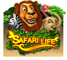Safari Life SLOTXO UFABET