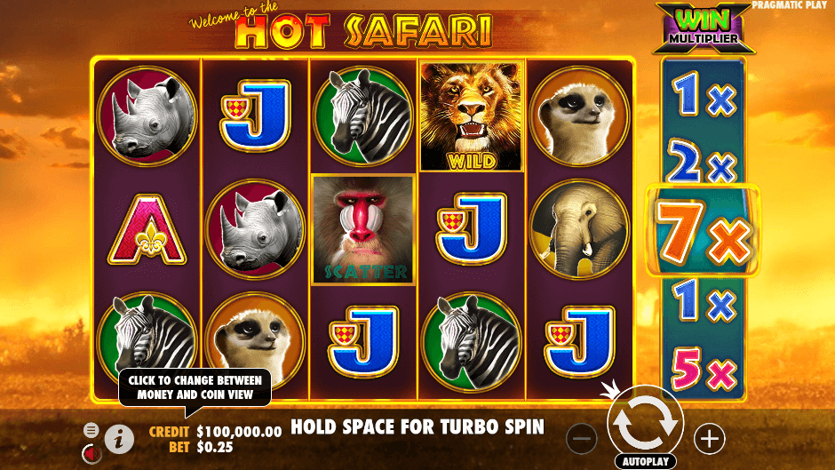 Hot Safari PRAGMATIC PLAY UFA365