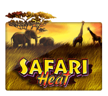 Safari Hert joker123 UFABET