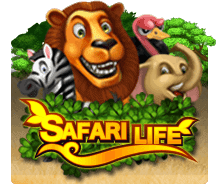 Safari Life joker123 UFABET