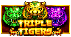 Triple Tigers PRAGMATIC PLAY UFABET