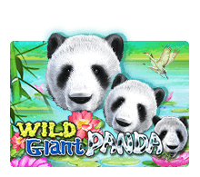 Wild Giant Panda joker123 UFABET
